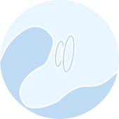 Toycod Vitalis icon02
